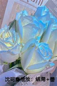 沈珂秦淮放：结局+番外