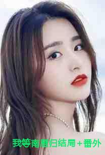 我等南雁归结局+番外