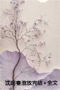 沈珂秦淮放完结+全文
