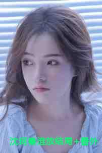 沈珂秦淮放结局+番外