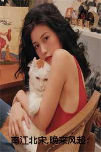 南江北宋,晚来风起：结局+番外