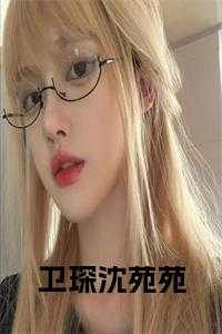 卫琛沈苑苑