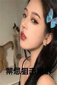 禁忌狙击景诉小说名字
