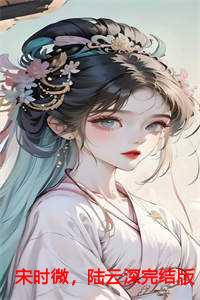 宋时微，陆云深完结版+番外