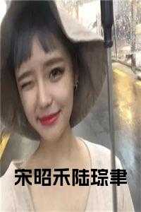 宋昭禾陆琮聿全文