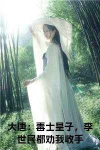 大唐：毒士皇子，李世民都劝我收手小说