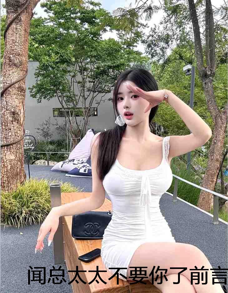 闻总太太不要你了前言+后续