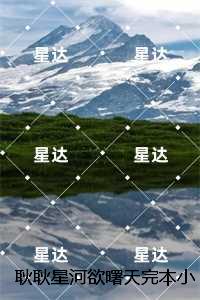 耿耿星河欲曙天完本：结局+番外