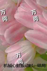 机械心脏振动时：结局+番外爱恨纠葛