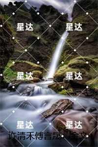 许清禾傅言晟：全文+结局+番外,许清禾傅言晟