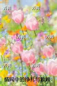 情网中的挣扎与救赎：全文+后续