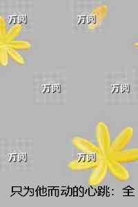 只为他而动的心跳：全文+后续