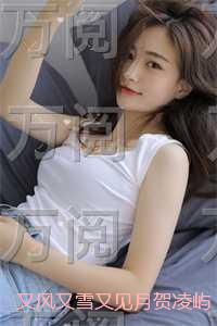 又风又雪又见月贺凌屿：结局+番外