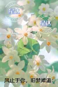 风止于你，旧梦难温：+后续+结局