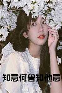 知意何曾知他意