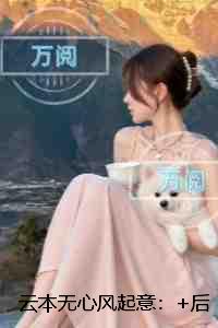 云本无心风起意:+后续+全文