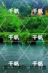 烟火照夜白:结局+番外,温南枝沈清宴精品选集