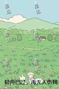 轻舟已过,再无人伤我:+后续+结局