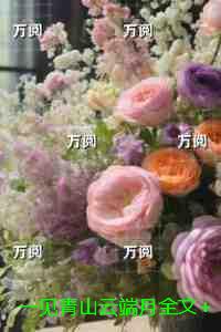 一见青山云端月全文+后续