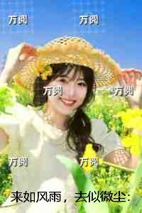 来如风雨,去似微尘:结局+番外