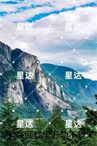 我在回忆里万劫不复未删减：结局+番外