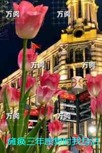 瘫痪三年康复时我身沾六十六条人命：+后续+结局