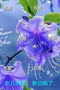 女儿死后，老公疯了：+后续+结局