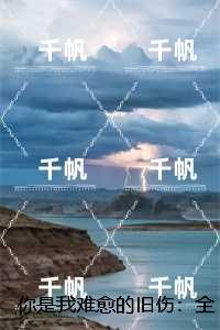 你是我难愈的旧伤：全文+后续