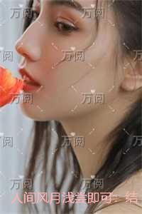 人间风月浅尝即可:结局+番外