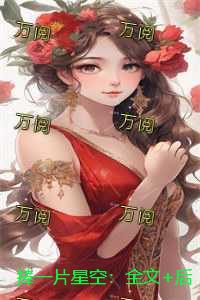 捧一片星空:全文+后续