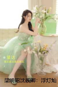 梁明昭沈砚卿：浮灯灿烂一朝结局+完结