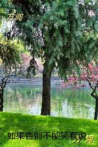 如果告别不能笑着说：全文赏析