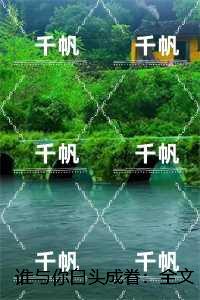 谁与你白头成眷：结局+番外高口碑