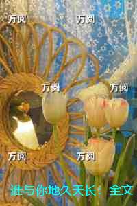 谁与你地久天长：笔趣阁