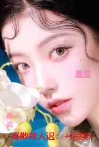 雾散故人迟：全文小说