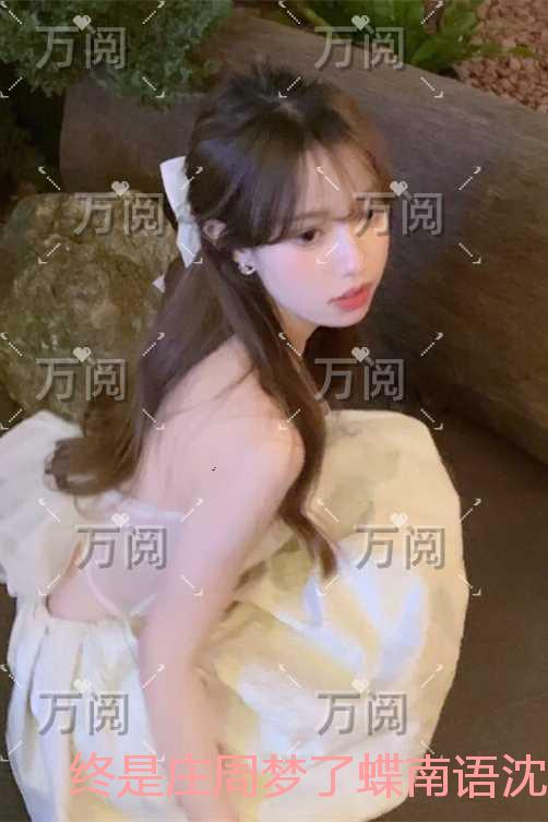 终是庄周梦了蝶南语沈聿珩：畅销
