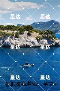 你似雾我若萤：全文下载