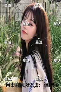 带刺的野玫瑰：最完整版