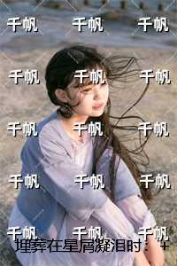 埋葬在星屑凝泪时：无错版