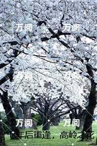 七年后重逢，高岭之花跪求当情夫：结局+后续