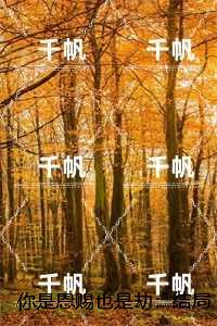 你是恩赐也是劫：+结局+完结