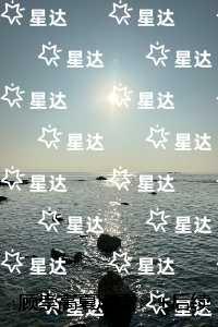 顾崇高夏凌霜：全文无弹窗
