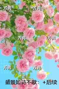 盛景如诗不歇