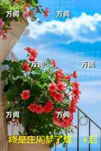 终是庄周梦了蝶：+后续+完本看点十足