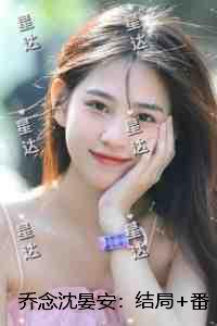 乔念沈晏安：全文下载