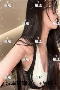 沈聿珩南语：全集小说