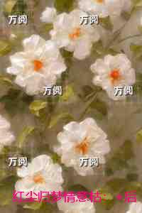 红尘归梦情意枯：良心推荐