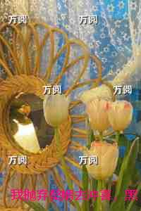 我抛弃赘婿去冲喜，黑道大佬却发疯了：热文