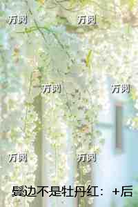 鬓边不是牡丹红：高分完本