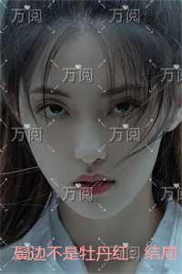鬓边不是牡丹红：极佳剧情